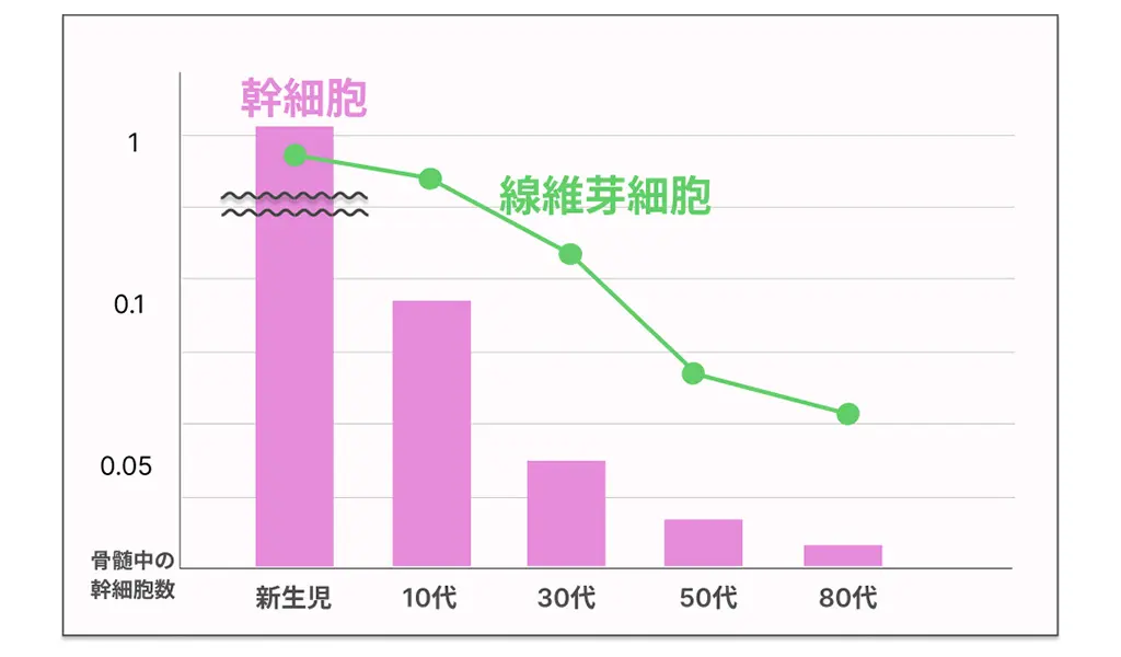 【肌の再生医療動画】より年齢と細胞激減のグラフ