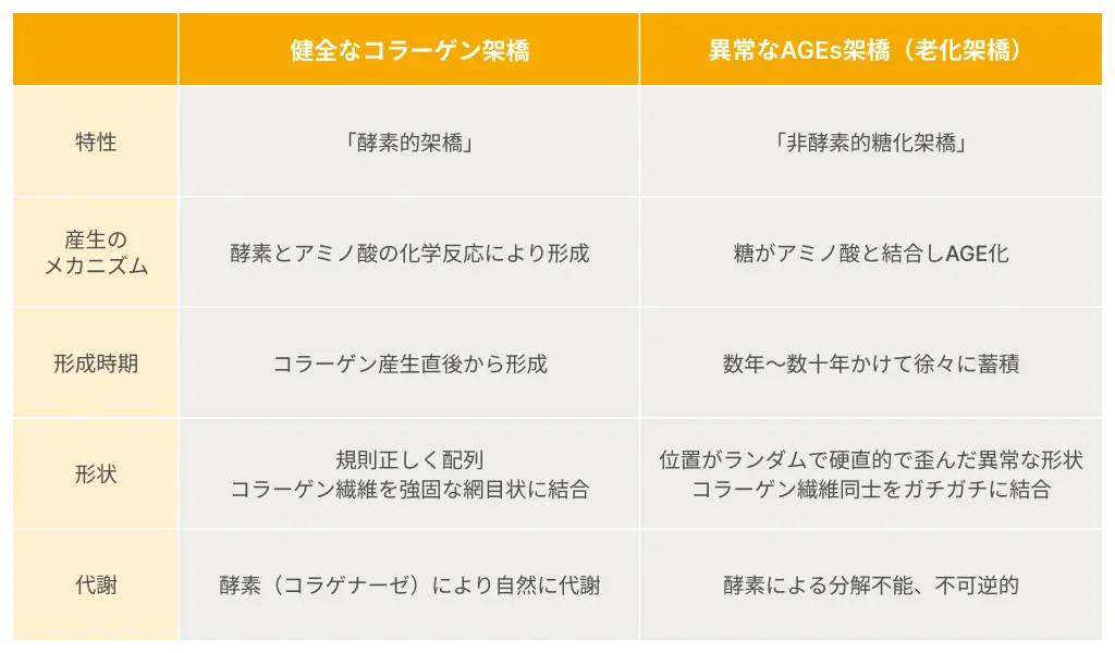 【糖化動画】より正常架橋vs異常架橋比較整理図を表現したイラスト