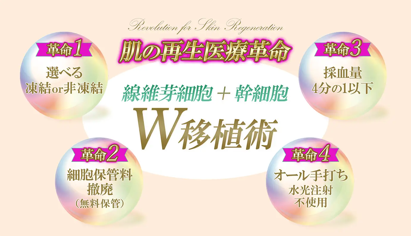 W移植術
