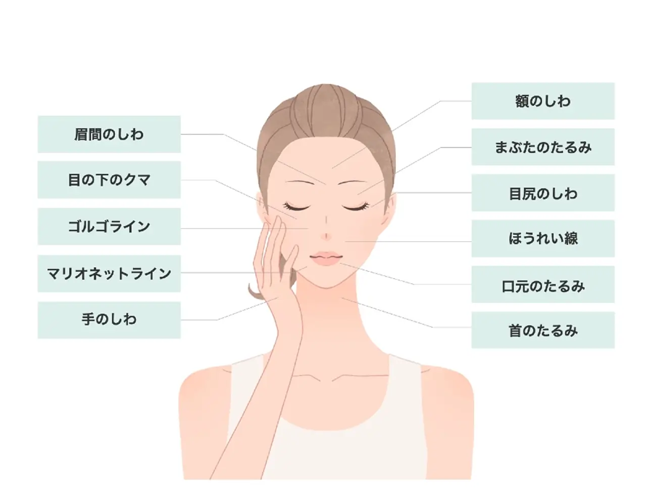 当院の肌の再生医療の対象部位