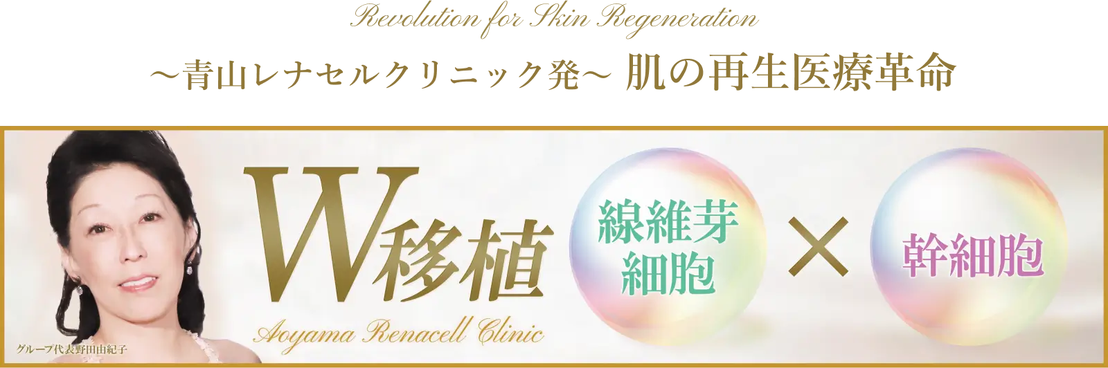 W移植
