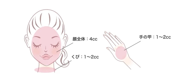 左「培養開始時点」⇒右「移植用細胞回収時点（第2継代）」の写真