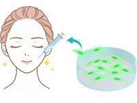 患者様の耳の後ろから皮膚片を少し採取しているイラスト