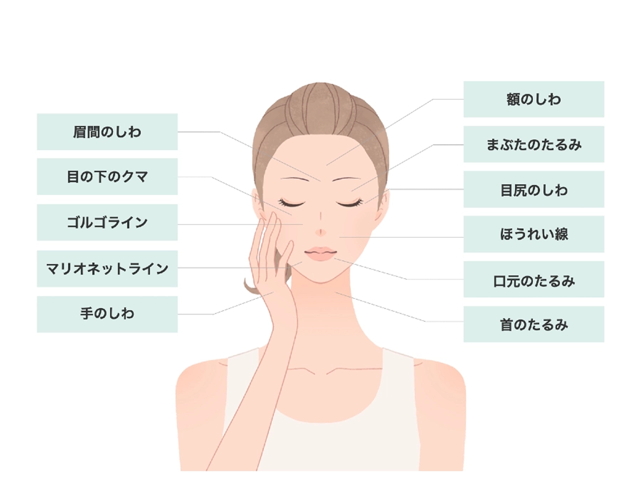 当院の肌の再生医療の対象部位