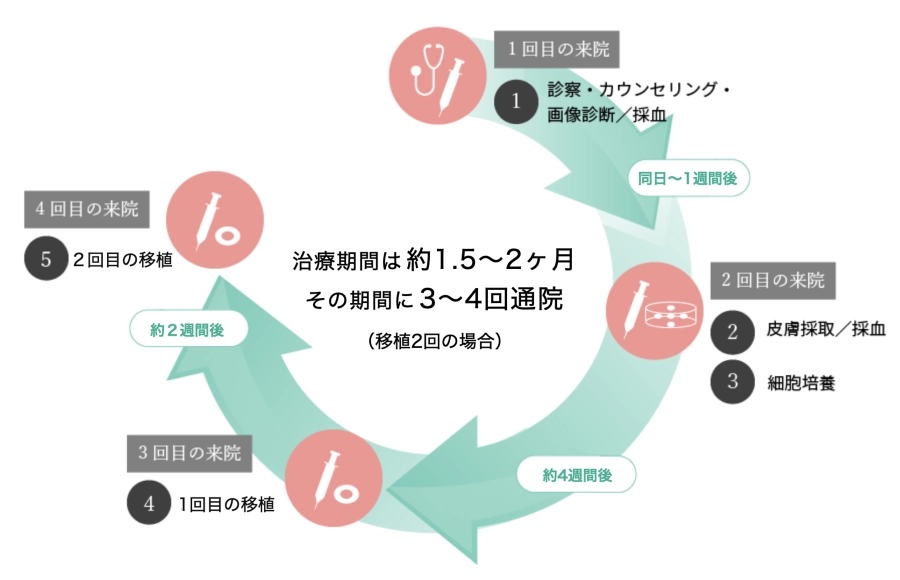 施術の流れ