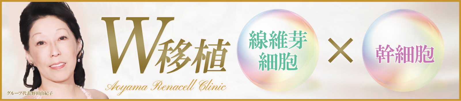 線維芽細胞と幹細胞のW移植