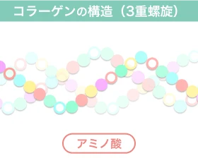 アミノ酸が50個以上結合した鎖状の物質が3重のらせん上に絡まりあっている「コラーゲンの構造（3重螺旋）」を表現したイラスト