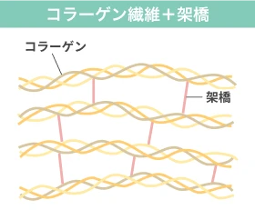 3重のらせん構造になったコラーゲン同士が橋のように繋がっている「コラーゲン繊維＋架橋」を表現したイラスト