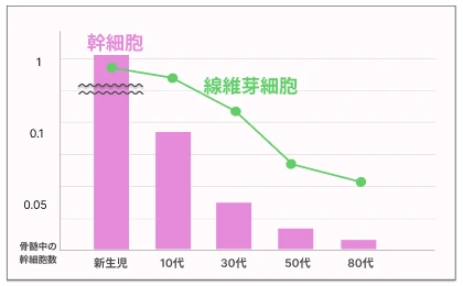 幹細胞と線維芽細胞の減少を表現した表