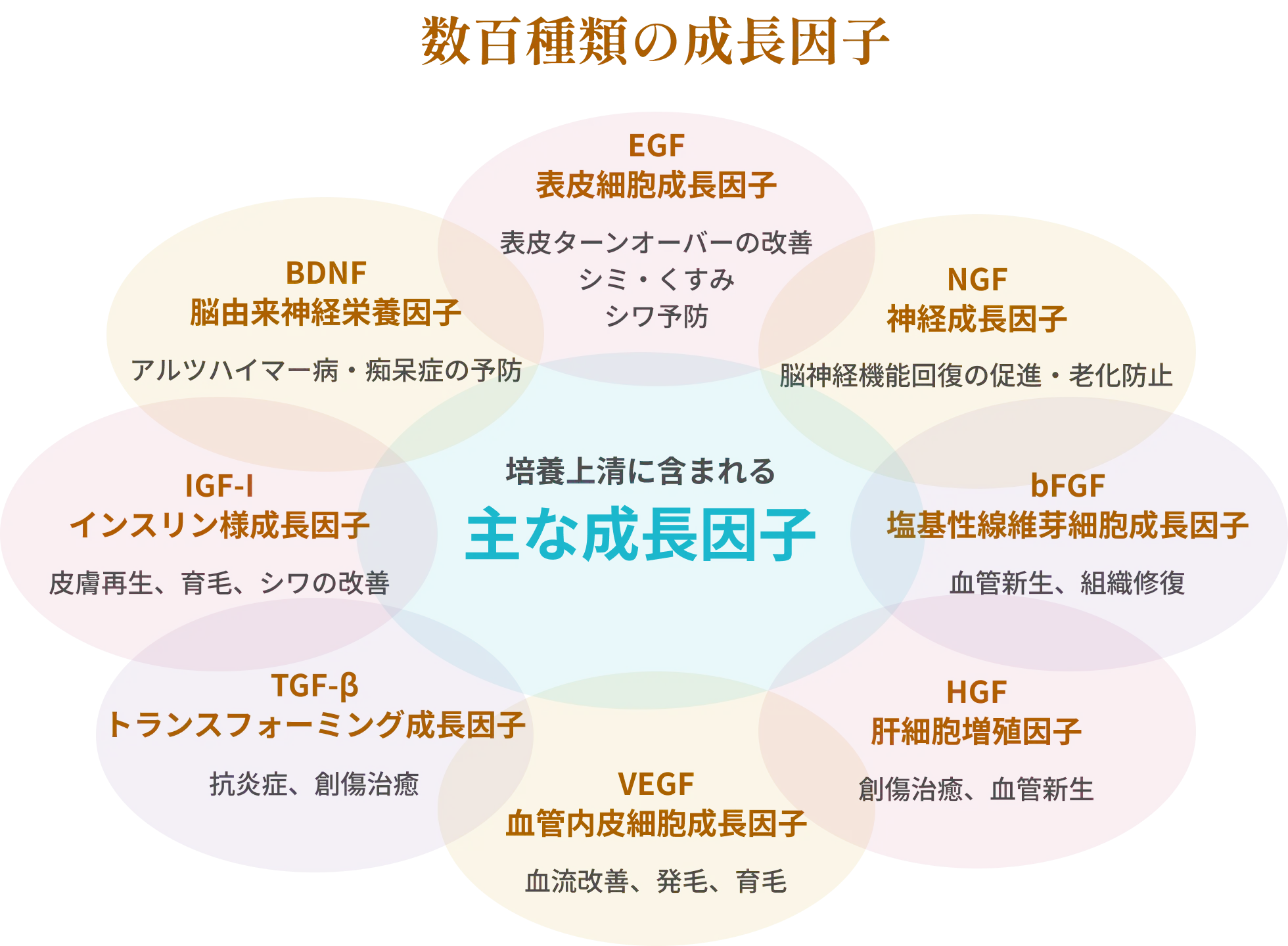 数百種類の成長因子