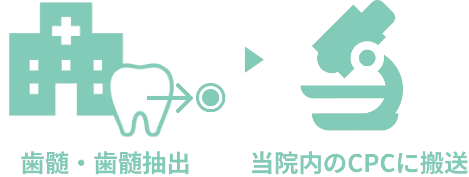 歯科医院で抽出された歯髄組織は、ただちに当院内のCPCに移送