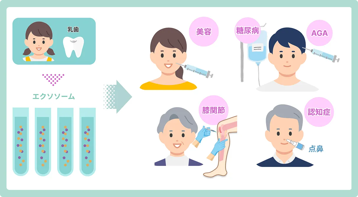 当院の提携歯科医院にて口腔内を検査