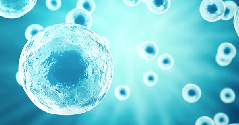 当院の提携歯科医院にて口腔内を検査